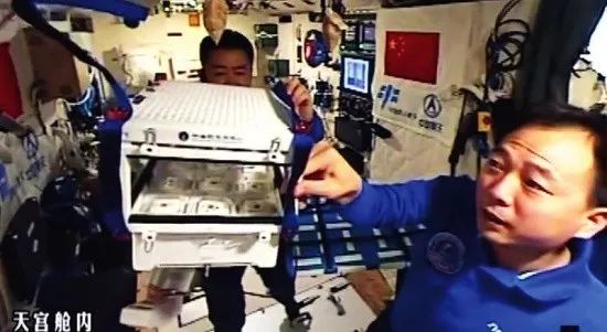 【業(yè)界要聞】中美貿(mào)易戰(zhàn)背面，反思為什么小麥玉米也要進(jìn)口